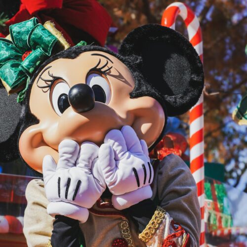 Excursão Disney 3