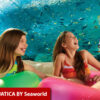 SeaWorld Parks (2 visitas) + Plano de Refeição grátis!