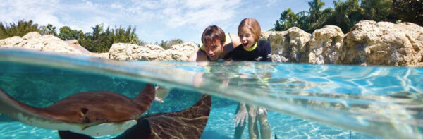 Discovery Cove Day Resort + 2 Parques