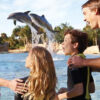 Discovery Cove Day Resort + 2 Parques
