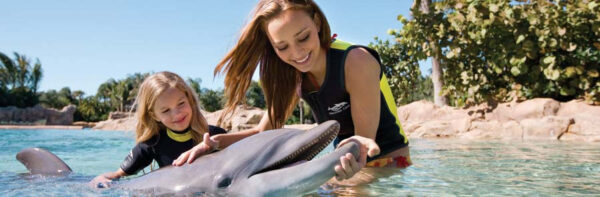 Discovery Cove Day Resort + 2 Parques