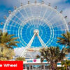 Orlando Eye