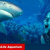 SEA LIFE Aquarium