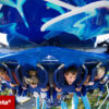 SeaWorld Parks (2 visitas) + Plano de Refeição grátis!